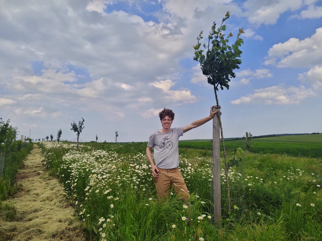 Jarní dobrovolnické akce Hnutí Brontosaurus 2026