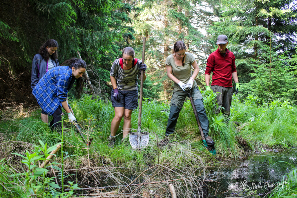 Jarní dobrovolnické akce Hnutí Brontosaurus
